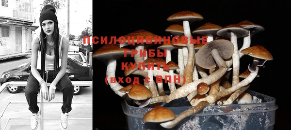 МДПВ Арсеньев